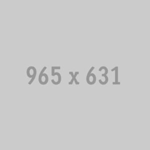 965x631